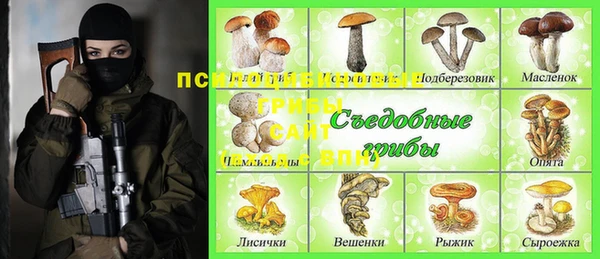 герыч Алзамай