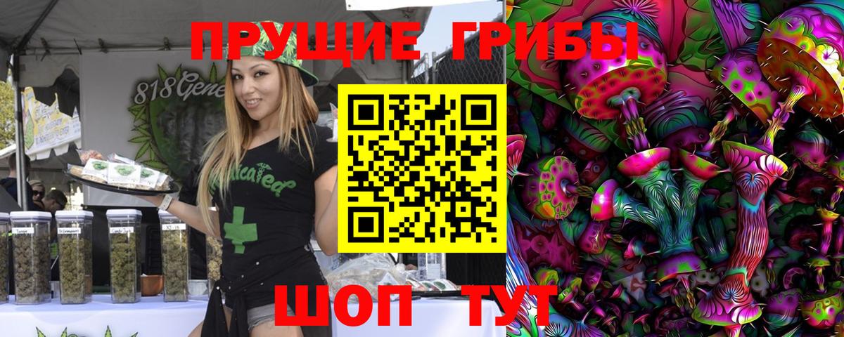 что такое наркотик  Галлюциногенные грибы прущие грибы  Вход с VPN  Копейск 