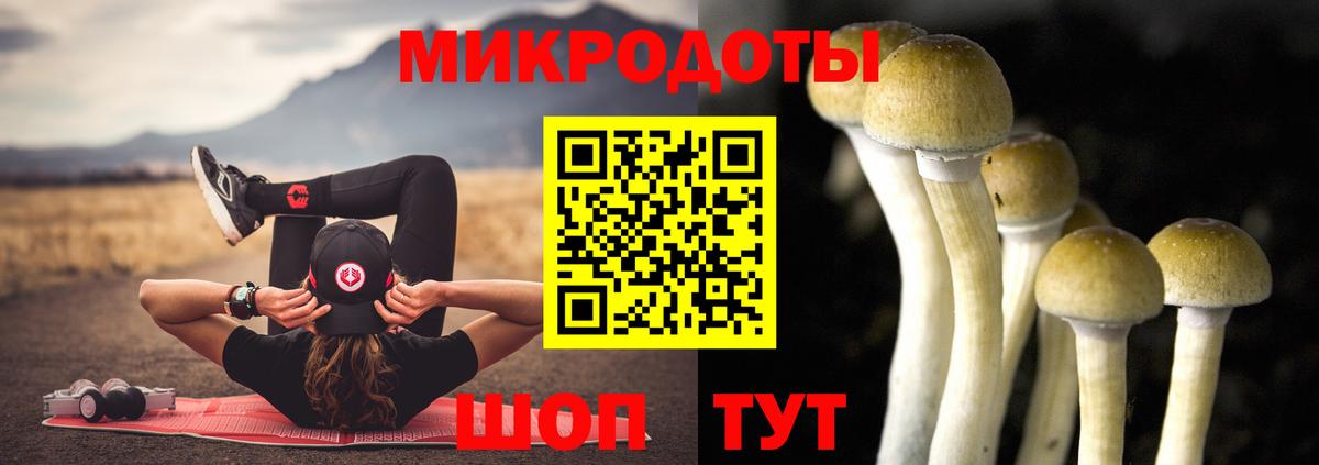 Псилоцибиновые грибы Psilocybine cubensis Копейск